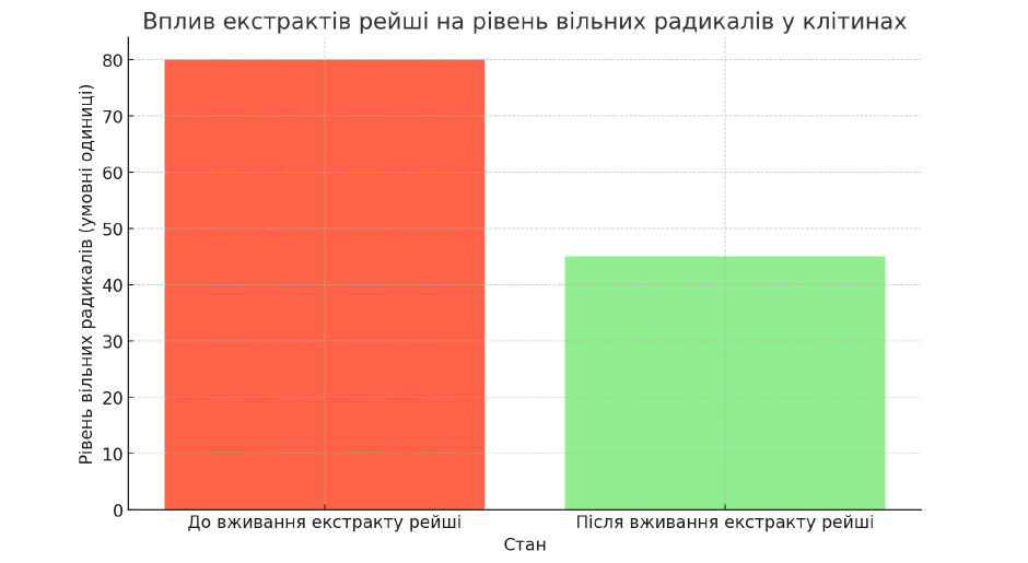 Схема впливу екстрактів рейші на рівень вільних радикалів у клітинах